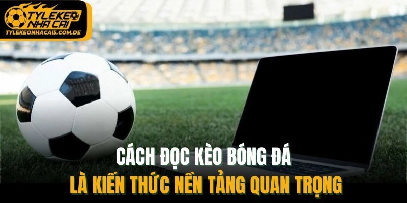 Cách đọc kèo bóng đá là kiến thức nền tảng quan trọng